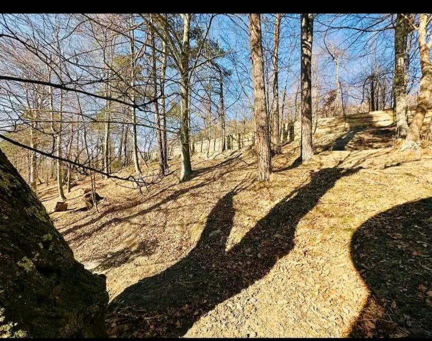 Il Villaggio Dei Puffi Bardineto Esterno foto