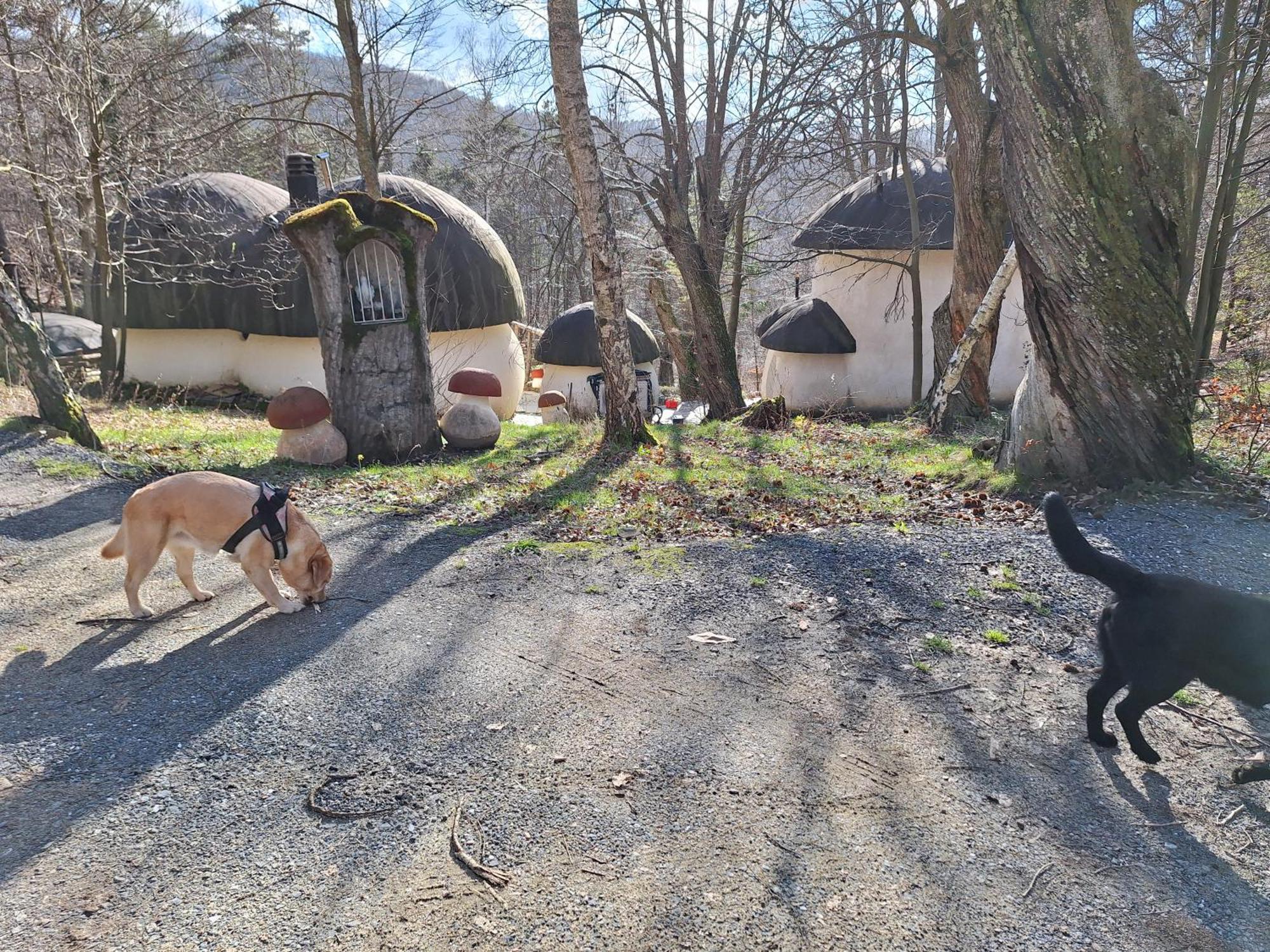 Il Villaggio Dei Puffi Bardineto Esterno foto